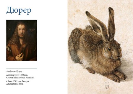 Альбрехт Дюрер заяц 1502