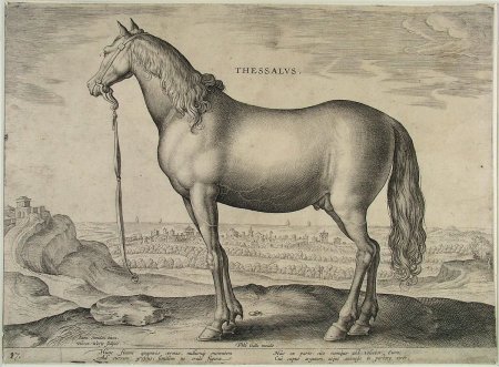 Альбрехт Дюрер лошади гравюра