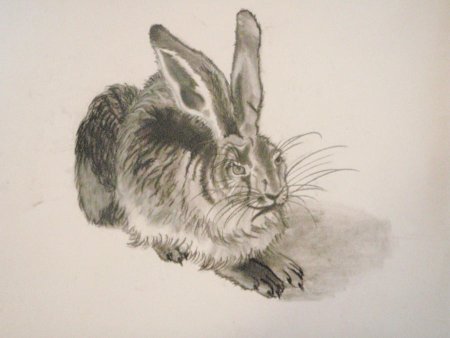 Альбрехт Дюрер рисунок заяц