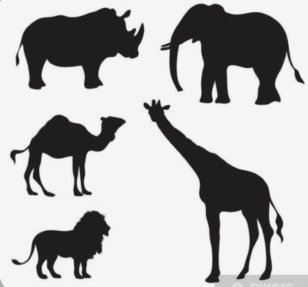 Тени африканских животных