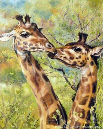 Африканские животные живопись