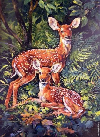 Бастрыкин художник анималист