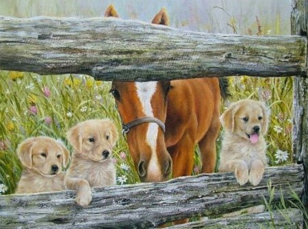 Художник Shirley Deaville