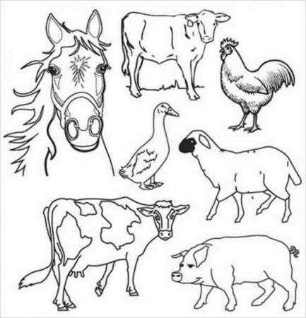 Домашние животные черно белые