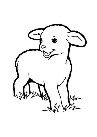 Домашние животные карандашом