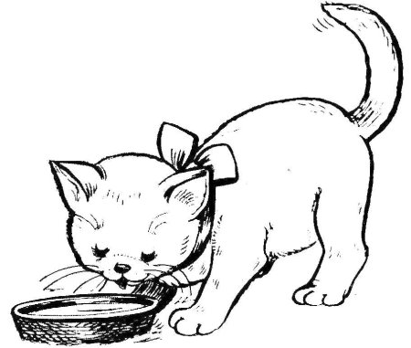 Котенок. Раскраска