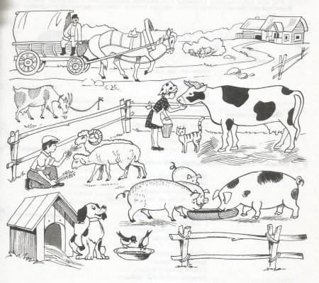 Задания по теме домашние животные