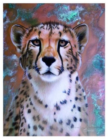 Гепард рисунок