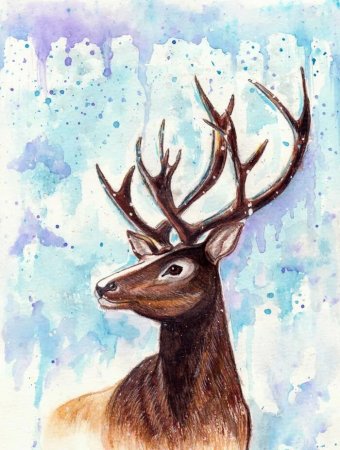 Грифон Котосова арт