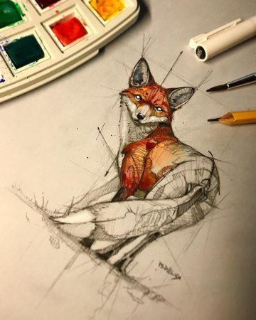 Лисы маркерами