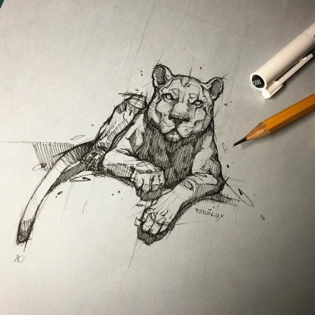 Наброски ручкой