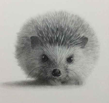 Ежик мультяшный
