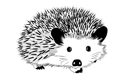 Ежик красками