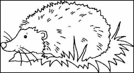 Ежик для детей