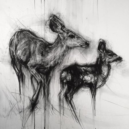 Рисование животных углем