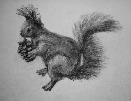 Рисунки углем белка