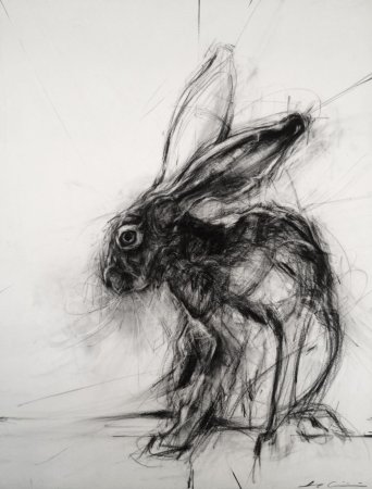 Животные углем