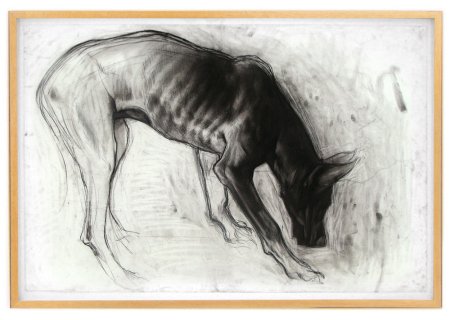 Зарисовки животных углем