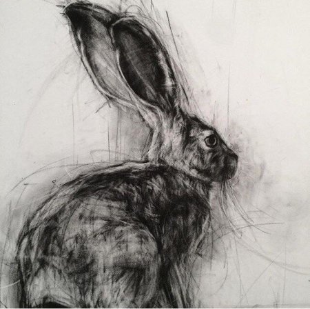 Рисование животных углем