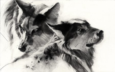 Животные углем