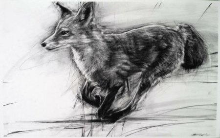 Зарисовки животных углем