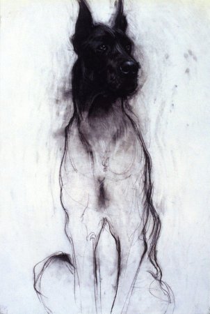 Животные углем