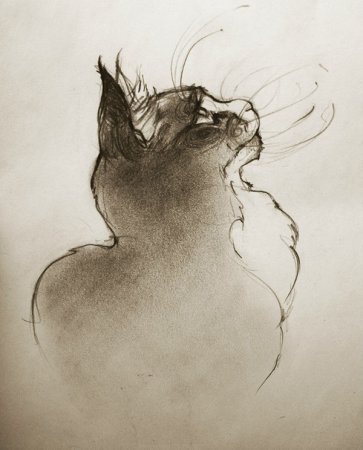 Зарисовки животных