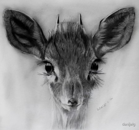 Наброски углем