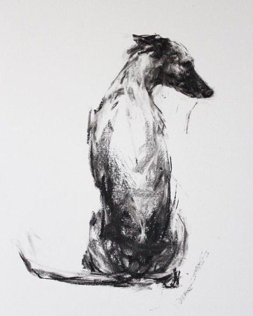 Кошка углем