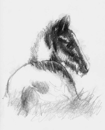 Конь набросок