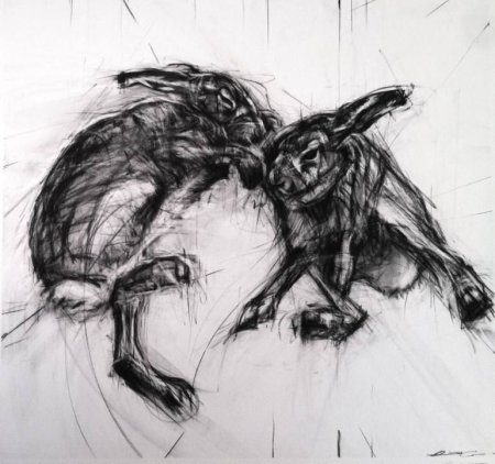 Зарисовки животных углем