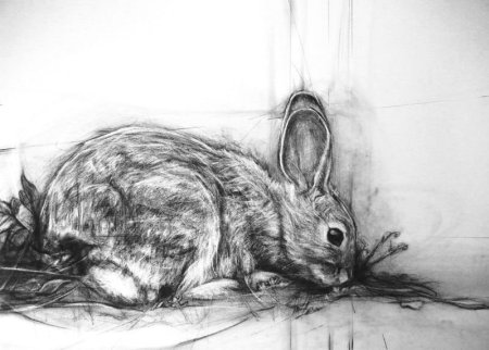 Картины нарисованные углем