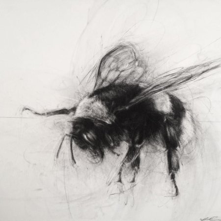 Кот Академический рисунок