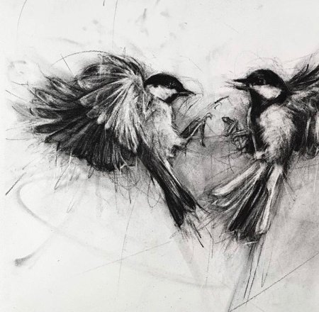 Рисунок кошки углем