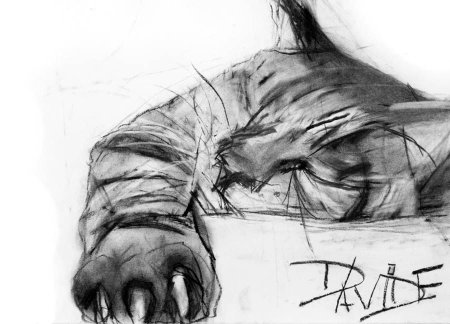 Наброски животных мягким материалом