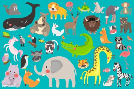 Плоские животные