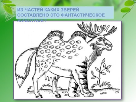 Фантастическое животное из разных животных