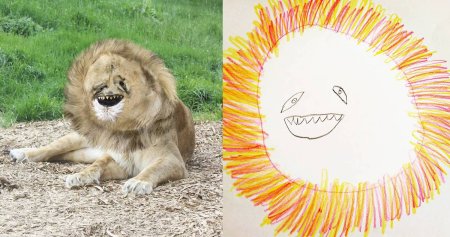 Рисунки непонятных животных