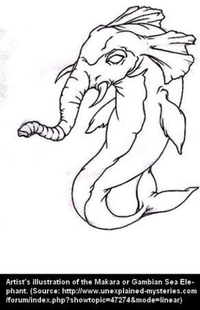 Рисунки несуществующих животных карандашом