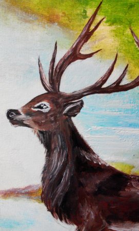 Животные красной книги рисовать