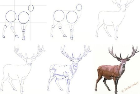 Магические животные для срисовки