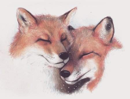 Рисунок лисы для срисовки