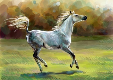 Красивые рисунки лошадей
