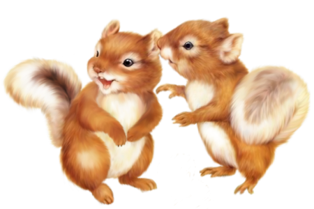 Белка с бельчатами картинки для детей