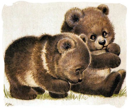 Медвежонок для детей