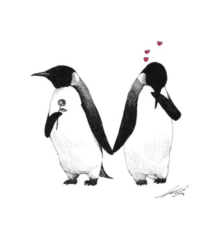 Пингвины любовь