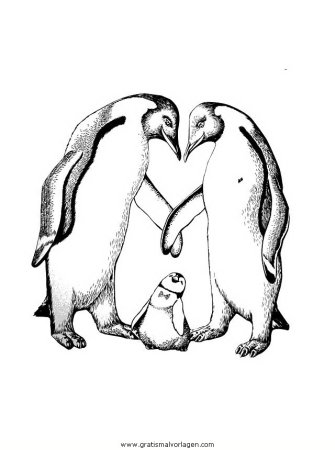 Императорский Пингвин раскраска