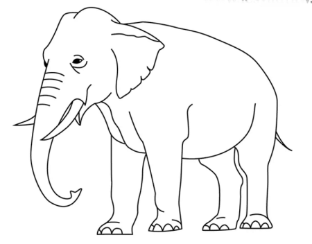 Слон для срисовки карандашом