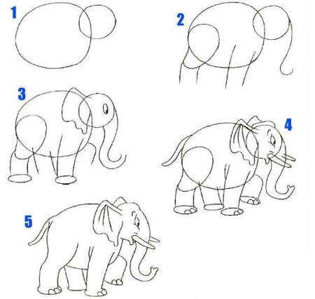 Рисование слона в подготовительной группе