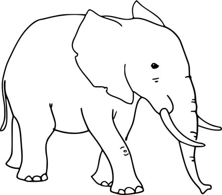 Слон раскраска